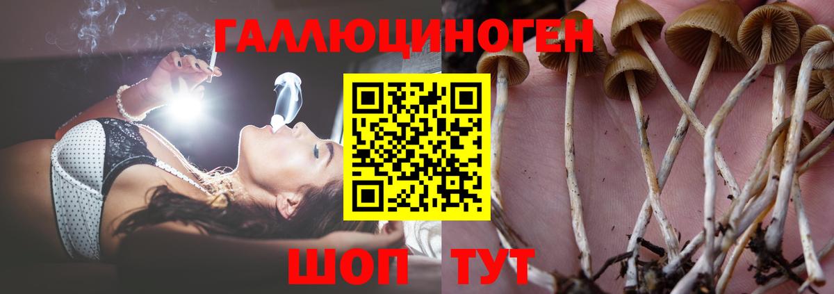 Псилоцибиновые грибы GOLDEN TEACHER  Вход с VPN  Ханты-Мансийск 